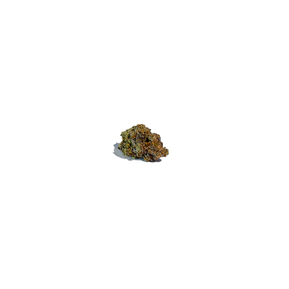 Shortbread cannabis flower bud