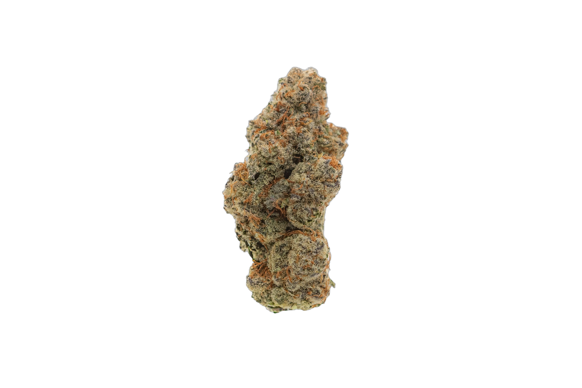 Sinister Minister cannabis flower bud