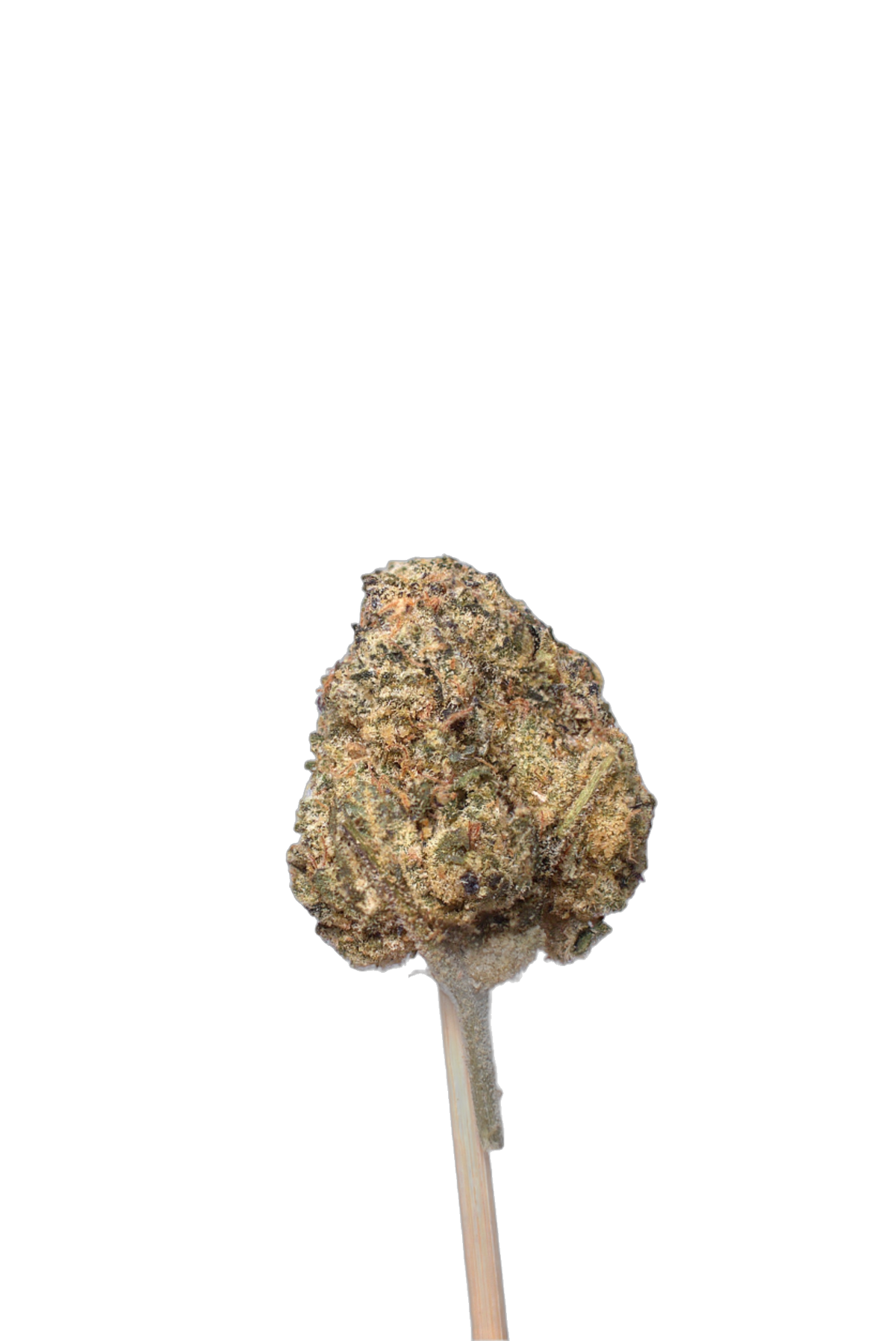 Slevin cannabis flower bud