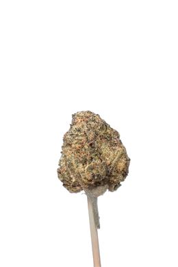 Slevin cannabis flower bud