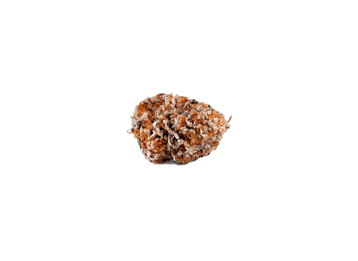 Slurricane cannabis flower bud