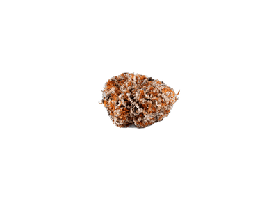 Slurricane cannabis flower bud