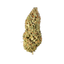 Sour Diesel MS1 - Cannibisters Limited Collection cannabis flower bud