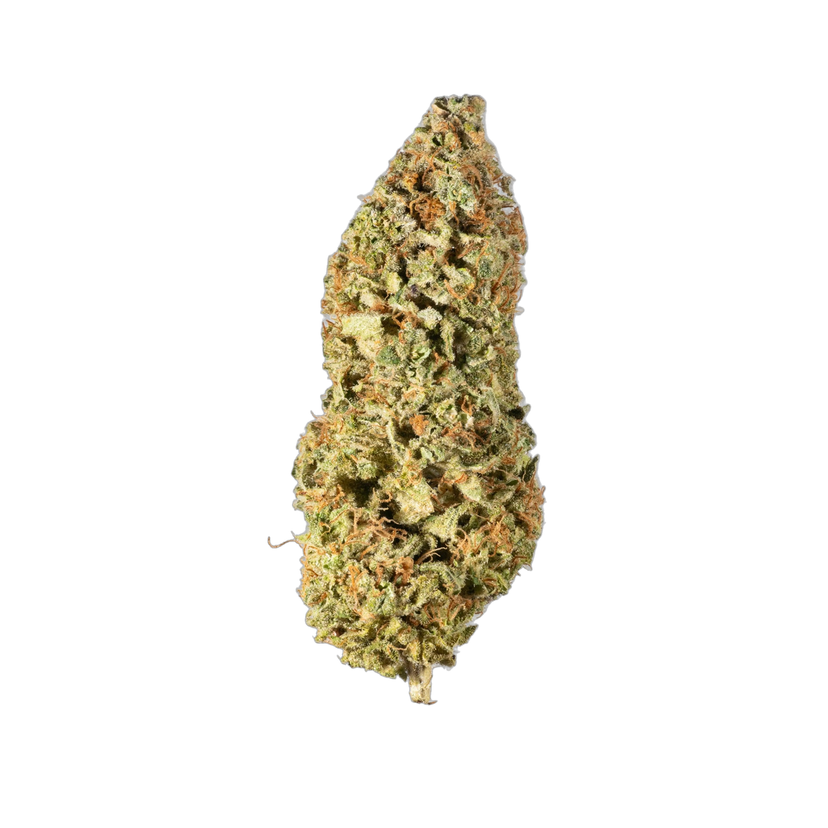 Sour Diesel MS1 - Cannibisters Limited Collection cannabis flower bud