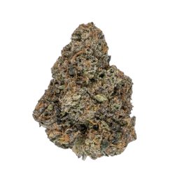 Sour Dough cannabis flower bud