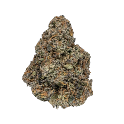Sour Dough cannabis flower bud