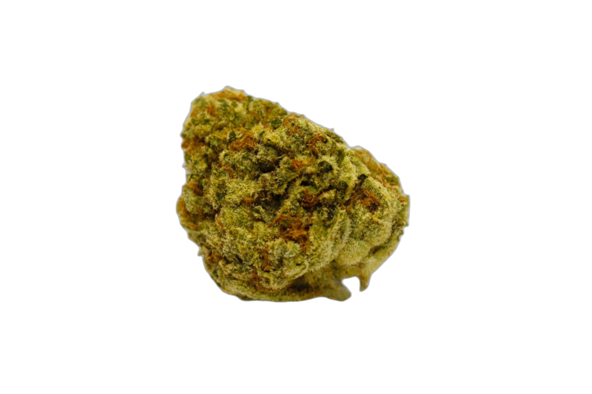 Sour OG Kush cannabis flower bud