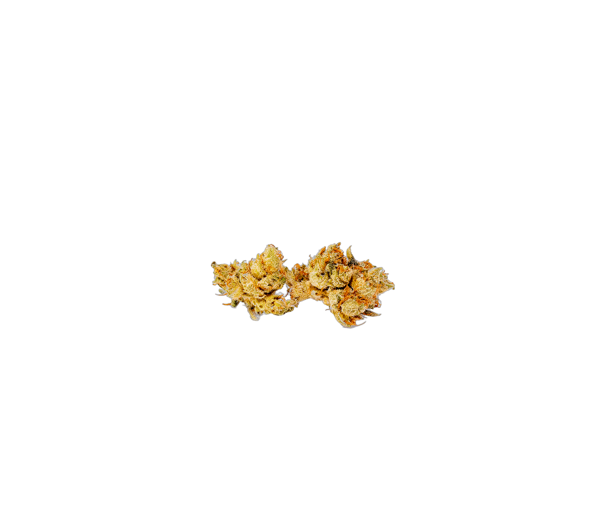 Sour Tangi cannabis flower bud