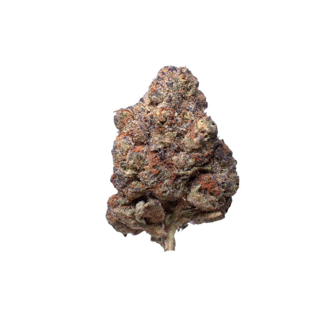 Space Alien cannabis flower bud