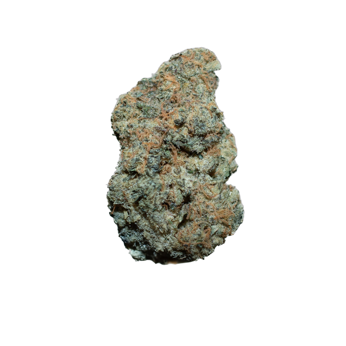 Spicy Lemonade cannabis flower bud