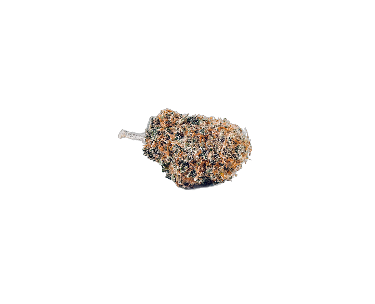 Squirt cannabis flower bud