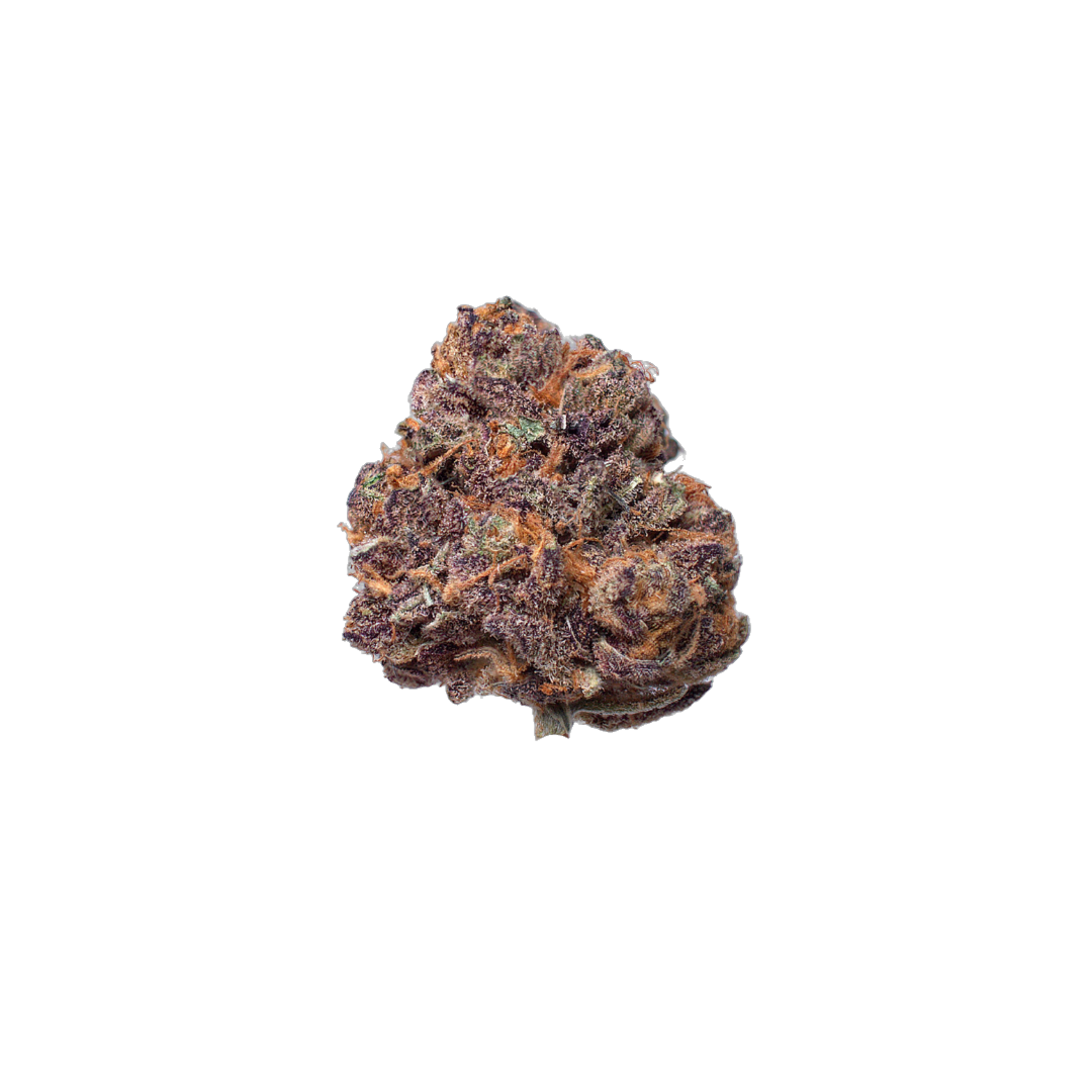 Stunna cannabis flower bud