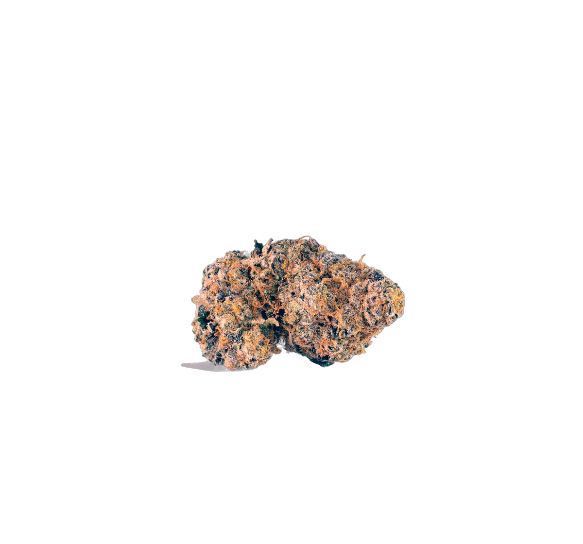 Sugar Cane cannabis flower bud