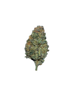 Sugarcane cannabis flower bud