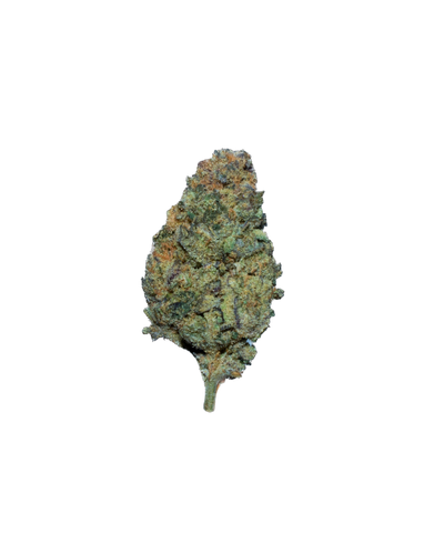 Sugarcane cannabis flower bud