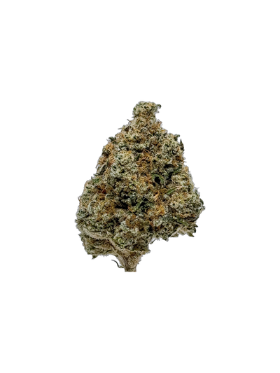 Sunset Sherbet cannabis flower bud — Cannibisters, Sea Point Cape Town