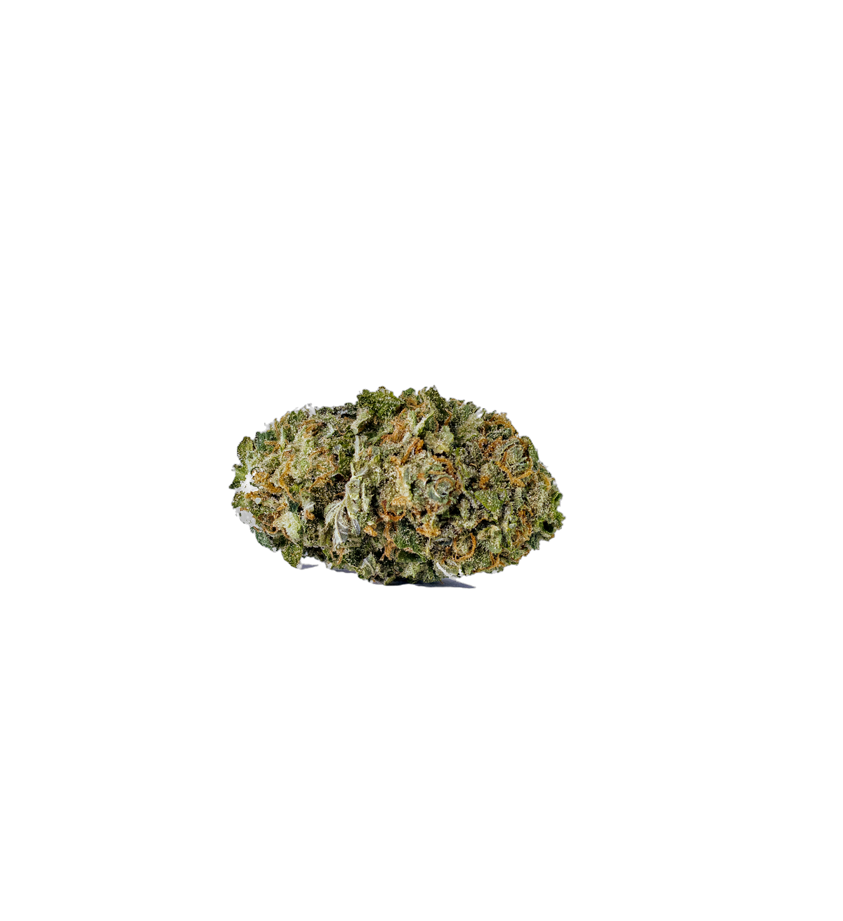 UK Super Cheese cannabis flower bud