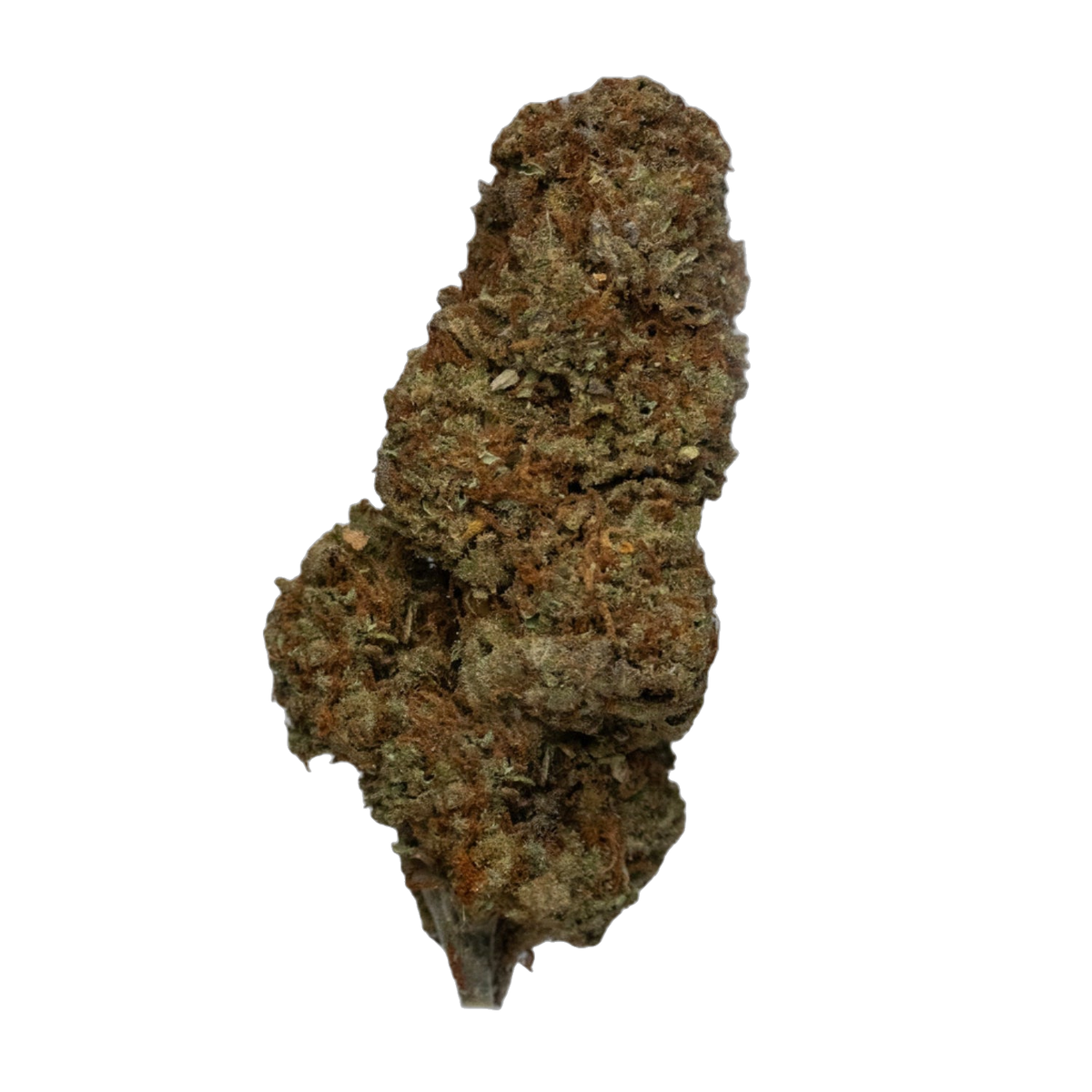 Super Lemon Haze cannabis flower bud