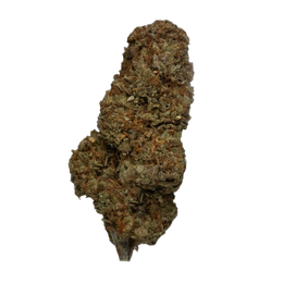 Super Lemon Haze cannabis flower bud