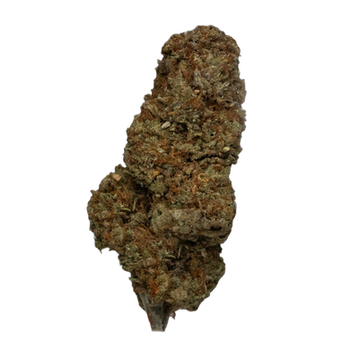 Super Lemon Haze cannabis flower bud