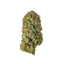 SUPERCHEESE - Cannibisters Limited Collection cannabis flower bud