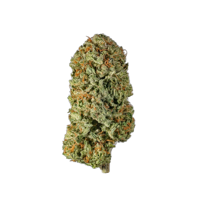 SUPERCHEESE - Cannibisters Limited Collection cannabis flower bud