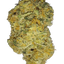 Sweet Lemonade cannabis flower bud