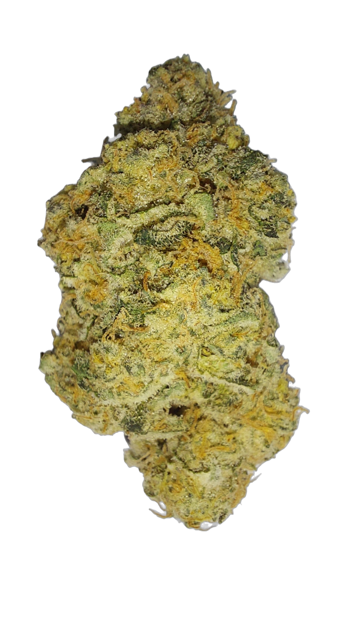 Sweet Lemonade cannabis flower bud