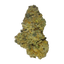 Sweet Lemonade hybrid cannabis | Cannibisters Cape Town