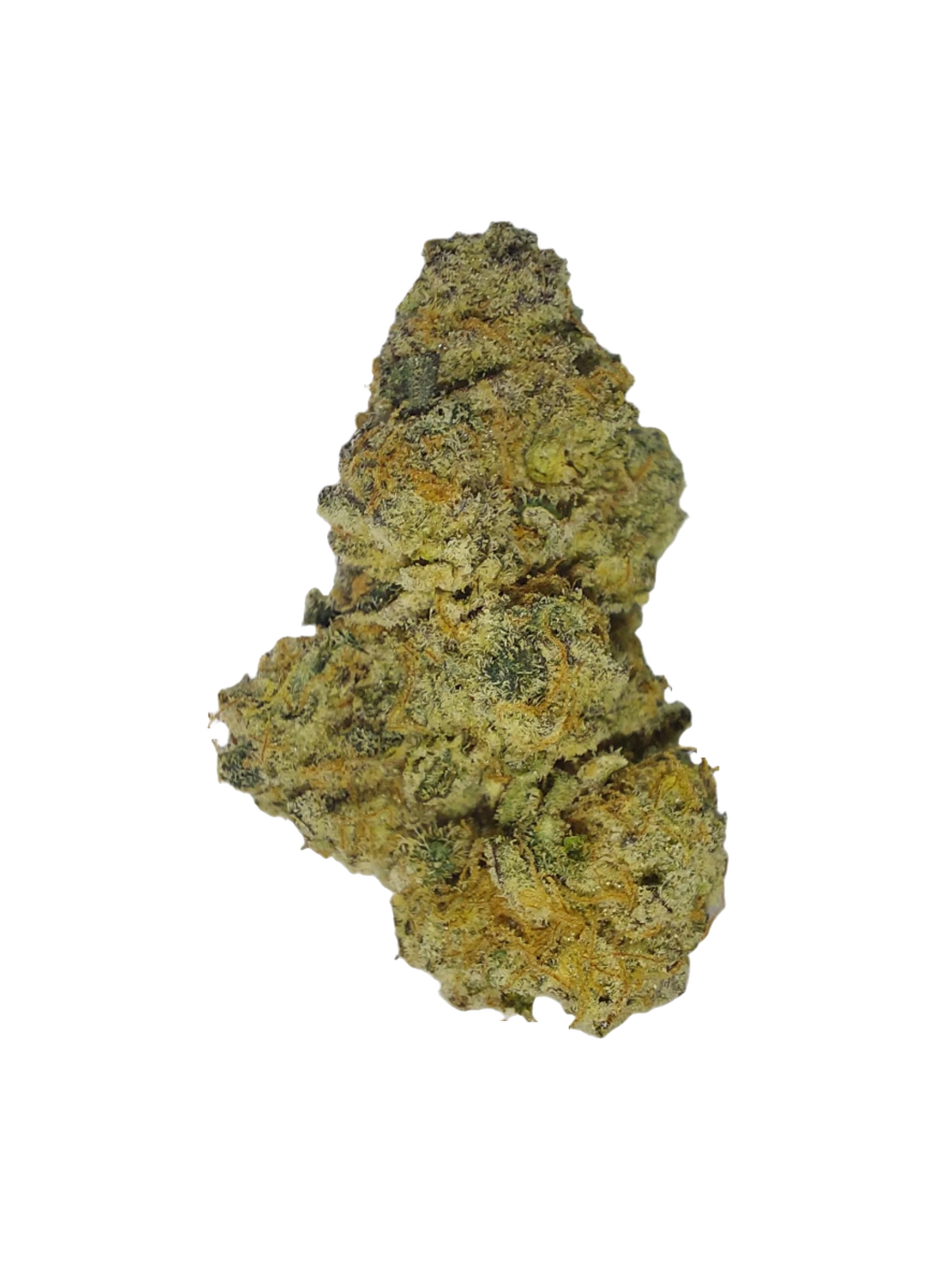 Sweet Lemonade hybrid cannabis | Cannibisters Cape Town