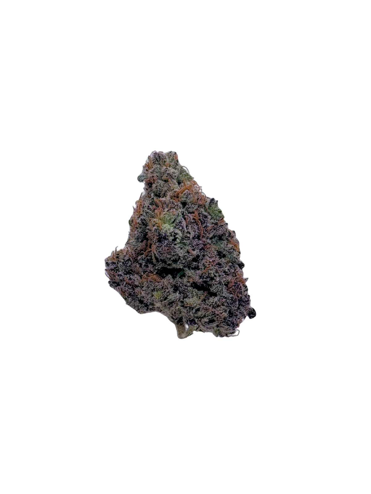 Tail Dragger cannabis flower bud