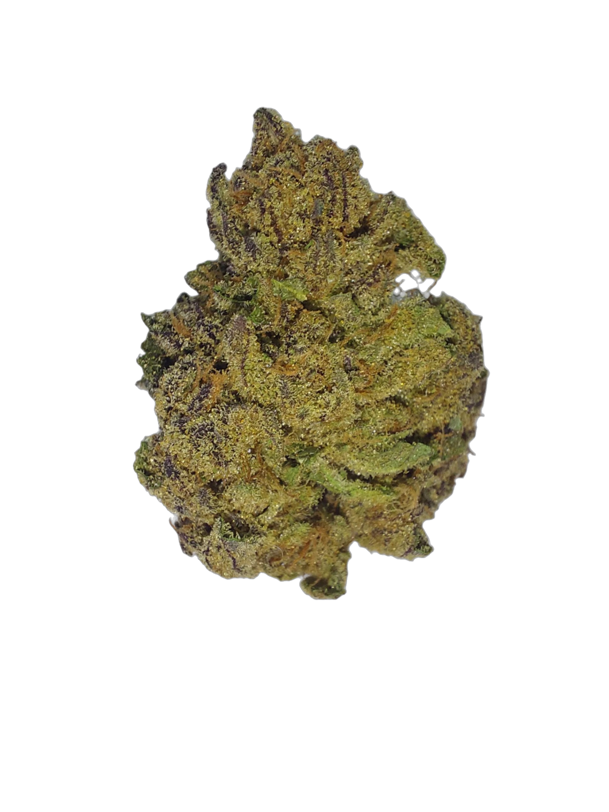 Telyla Wedding Cake - CBD cannabis flower bud