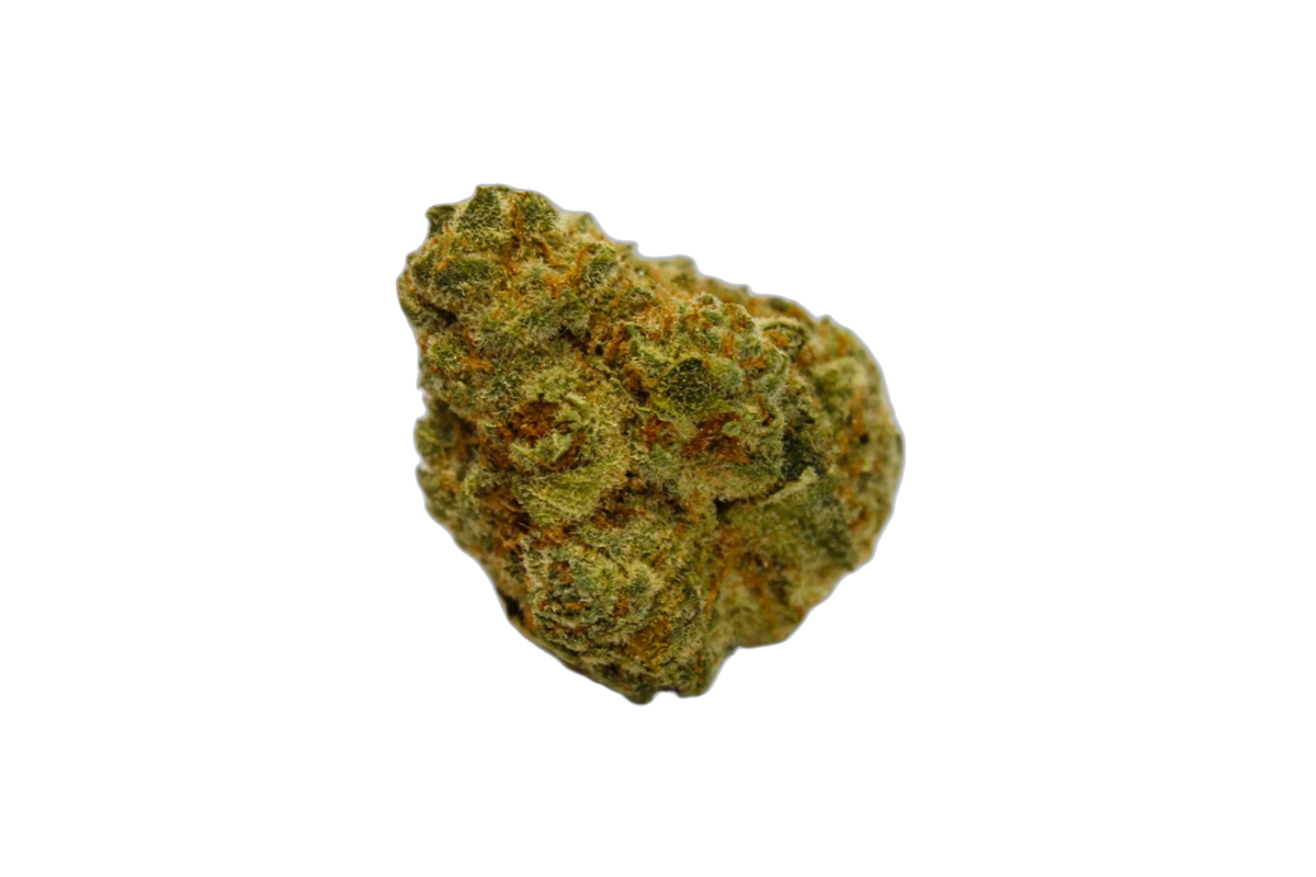 Cannibisters Terple Special cannabis flower bud