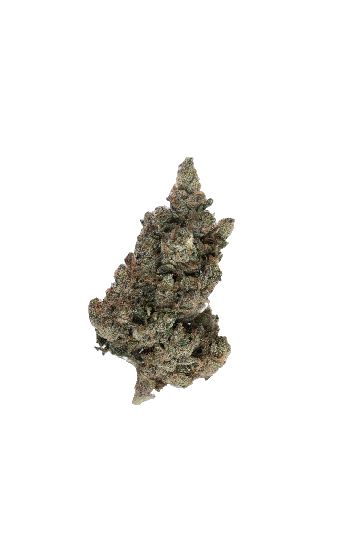 The Bling cannabis flower bud