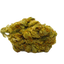 Thin Mints Joints hybrid cannabis | Cannibisters Cape Town