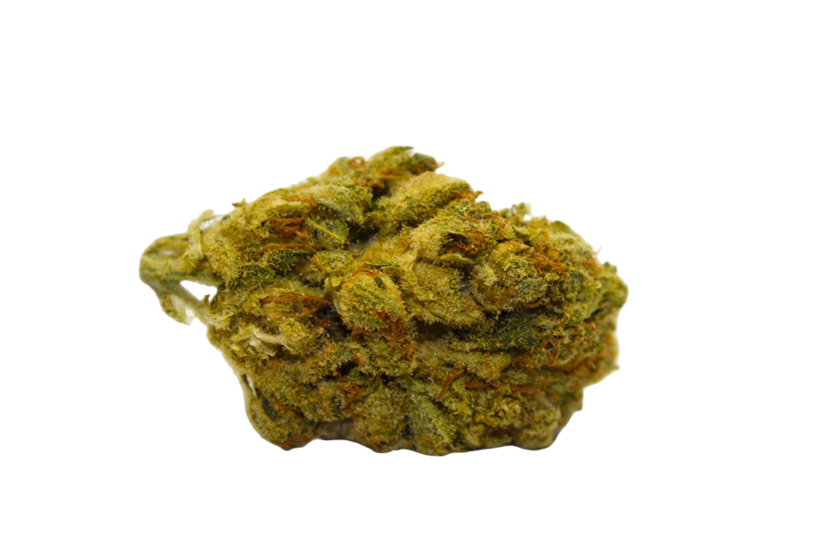 Thin Mints Joints hybrid cannabis | Cannibisters Cape Town