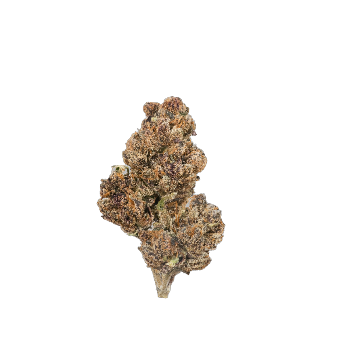 Tigers Eye cannabis flower bud