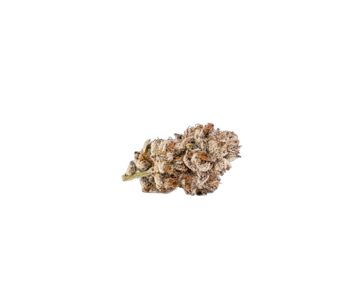 Training Day cannabis flower bud