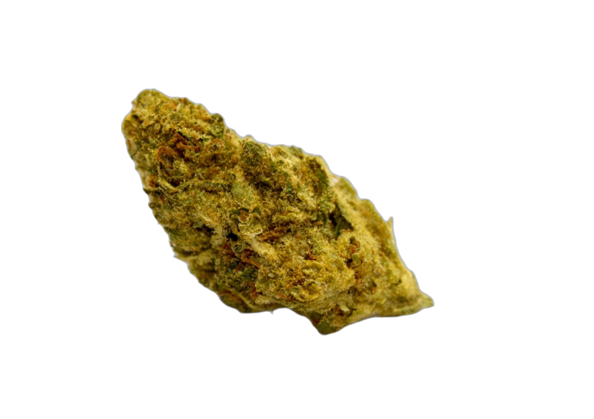 Triangle Kush cannabis flower bud