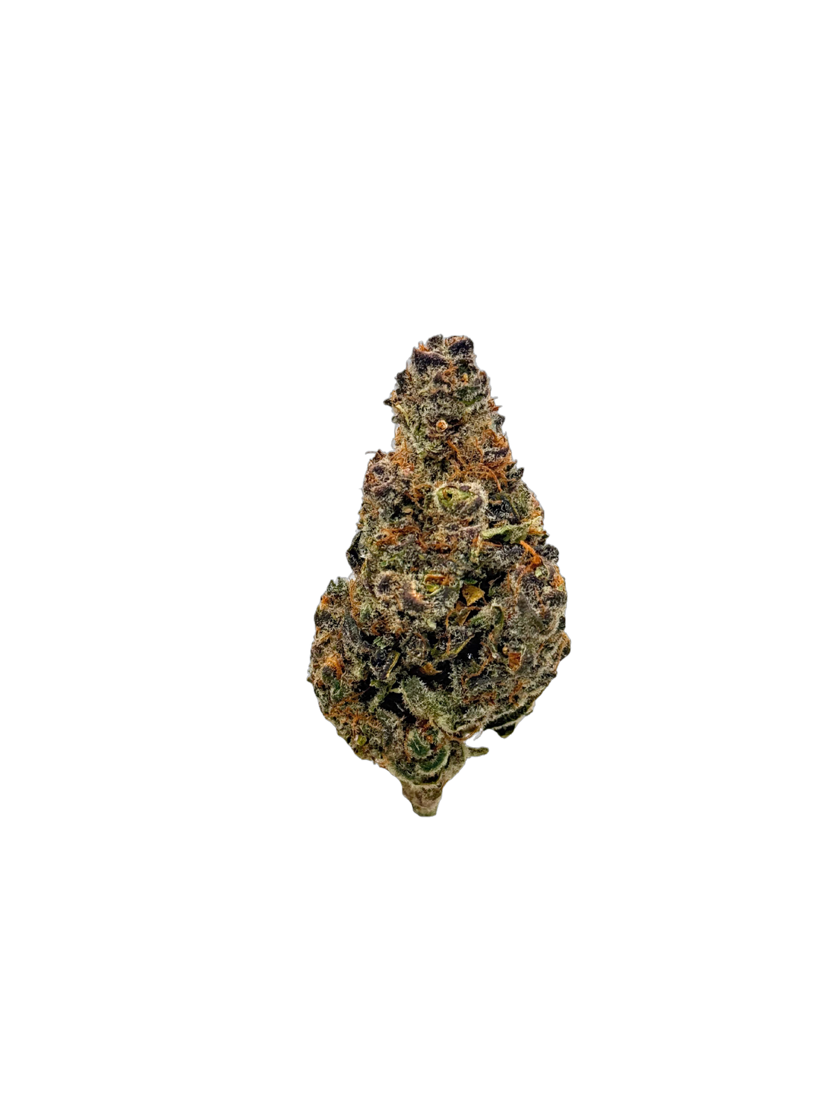 Tropicana Cookies cannabis flower bud