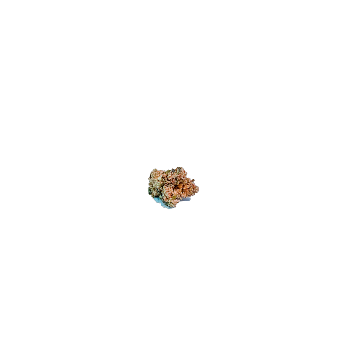 Truffle Cake cannabis flower bud