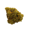 Unicorn Poop Joint hybrid cannabis | Cannibisters Cape Town