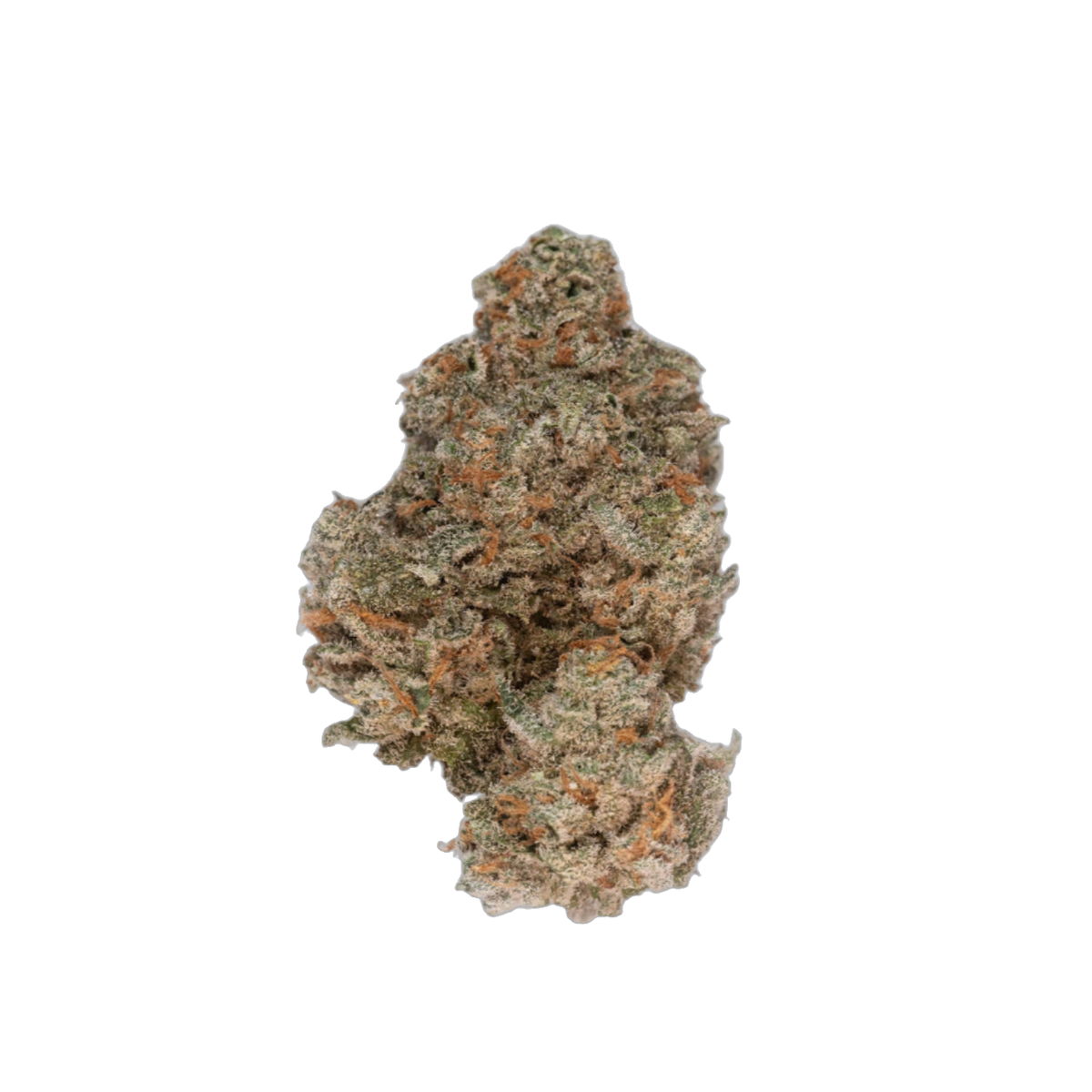 Velvet Moon cannabis flower bud