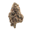 Violet Cake indica cannabis | Cannibisters Cape Town
