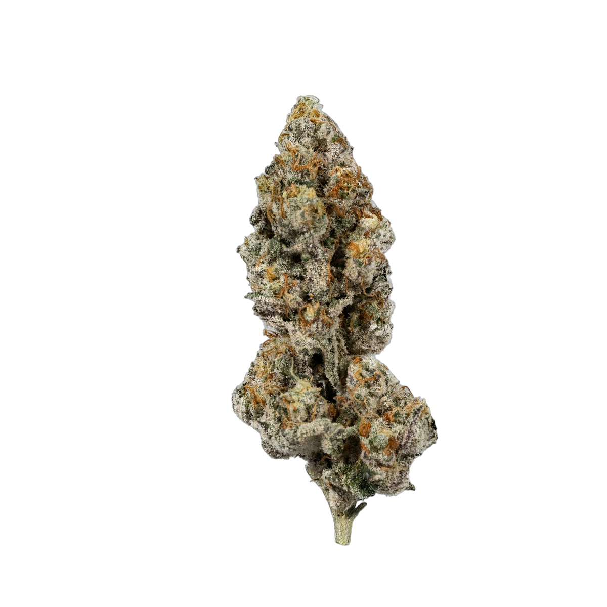 Watermelon Punch cannabis flower bud