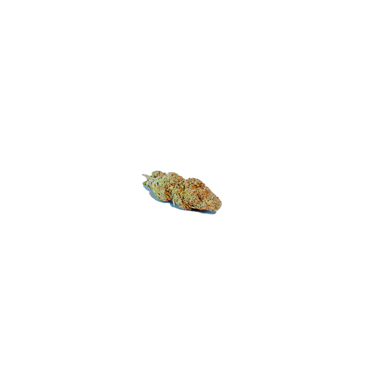 Watermelon Skittles cannabis flower bud