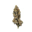 Watermelon Punch indica cannabis strain — buy online Cape Town | Cannibisters