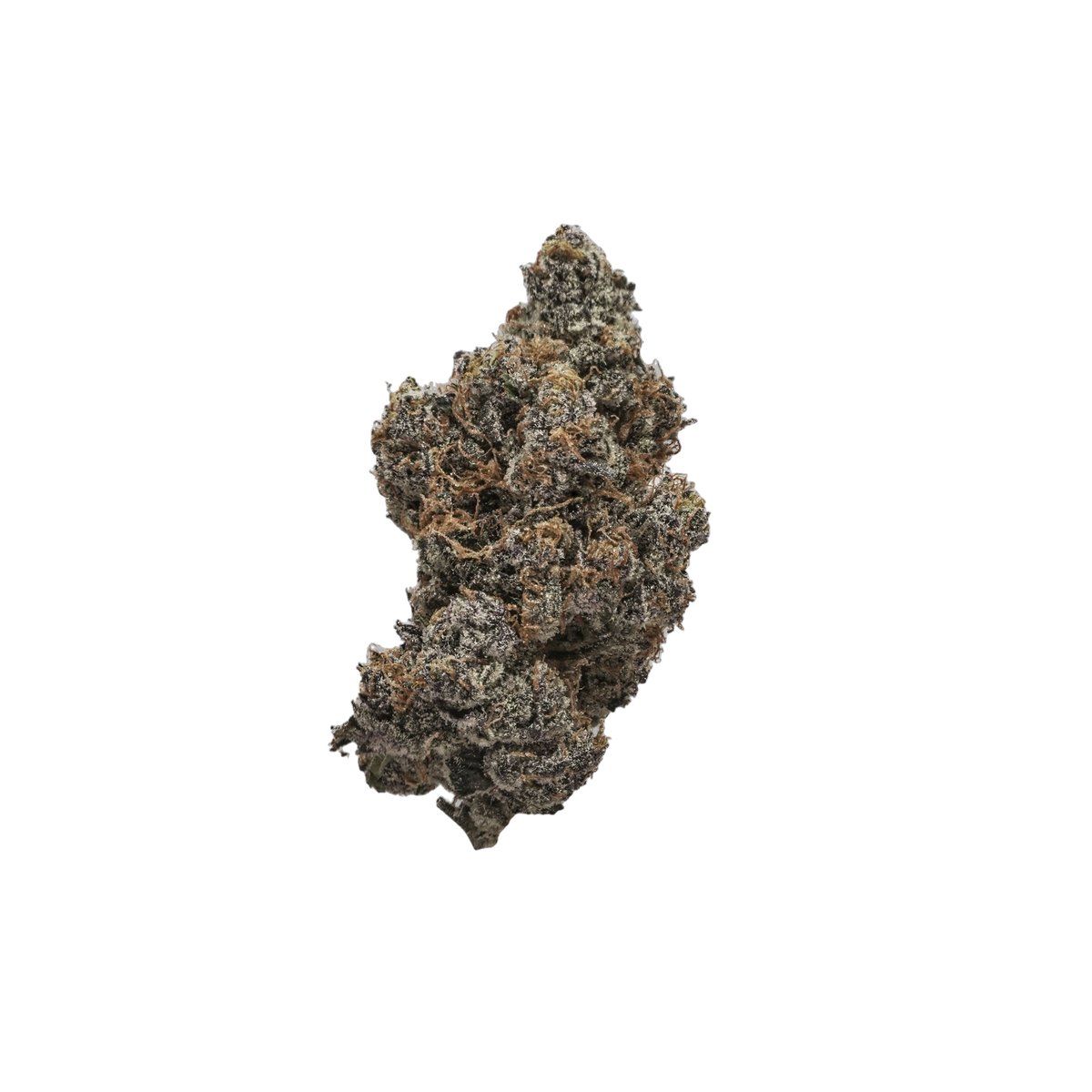 White Fire cannabis flower bud