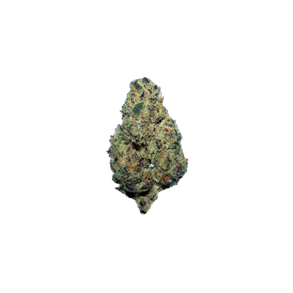 White Lion cannabis flower bud