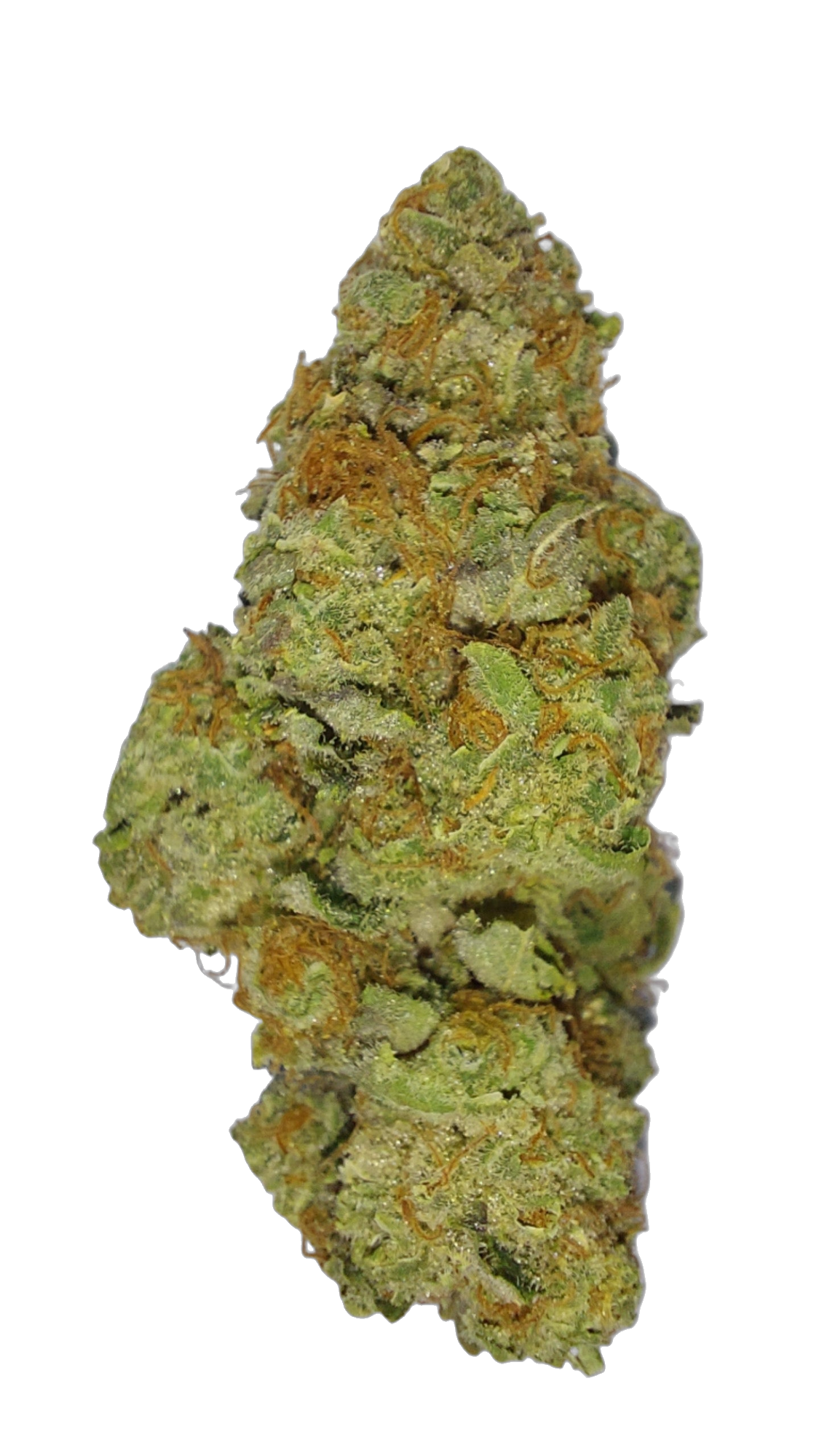 White Wedding cannabis flower bud